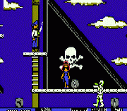 Skull & Crossbones