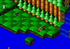 Snake Rattle 'n' Roll