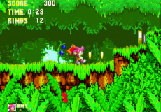 Sonic 3 Amy Rose