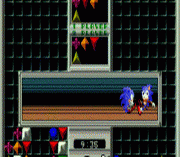 Sonic Eraser (SegaNet)