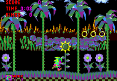 Sonic in Paynt