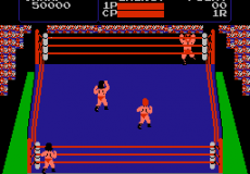 Special Tag Team Pro Wrestling