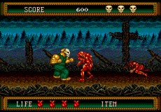 Splatterhouse 2