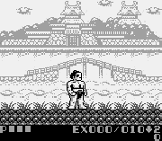 Игра Sumo Fighter