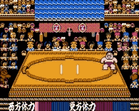 Sumo Wrestling