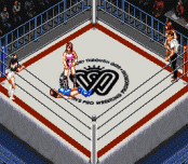 Super Fire Pro Wrestling: Queen's Special