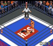 Super Fire Pro Wrestling X Premium
