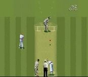 Игра Super International Cricket