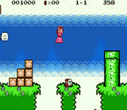 Super Mario Bros – Funny Princess