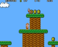 Super Mario Brothers DX