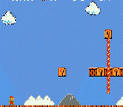Super Mario R.