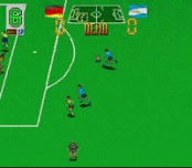 Super Soccer Champ