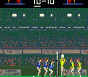 Super Volleyball