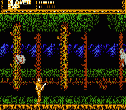 Sword Master