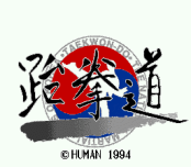 Taekwon-Do (video game)