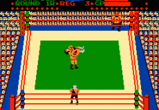 Tag Team Wrestling