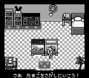 Игра Tamagotchi 2