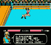 Tecmo World Wrestling