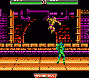Teenage Mutant Hero Turtles – Tournament Fighters