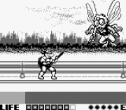 Игра Teenage Mutant Ninja Turtles – Fall of the Foot Clan