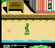 Teenage Mutant Ninja Turtles II – The Manhattan Project