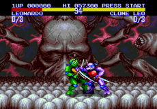 Teenage Mutant Ninja Turtles: Tournament Fighters