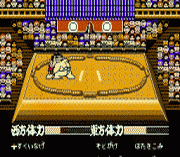 Игра Terao no Dosukoi Oozumou