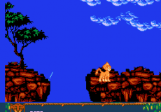 The 3-in-1 Lion King 5
