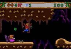 The Berenstain Bears Camping Adventure