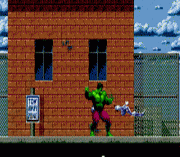 The Incredible Hulk