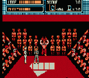 Игра The Karate Kid