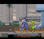 The Ninja Warriors (1994 video game)