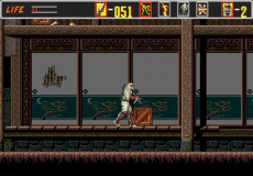 The Revenge of Shinobi