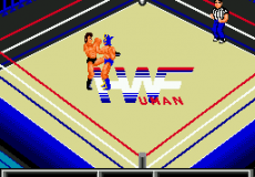 Thunder Pro Wrestling Retsuden