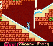 Tiny Toon Adventures 2