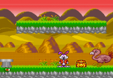 Tiny Toon Adventures 3