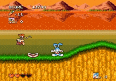 Игра Tiny Toons- Busters Hidden Treas