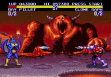 TMNT - Tournament Fighters