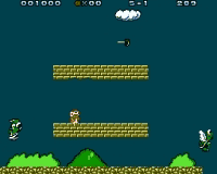 Toads Adventure
