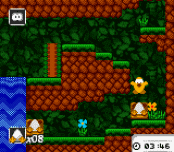 Игра Toki Tori
