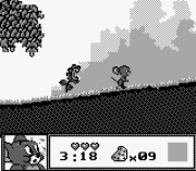 Игра Tom & Jerry