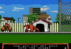 Tom and Jerry: Frantic Antics