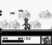 Игра Tom and Jerry – Frantic Antics