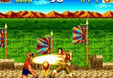 Top Fighter 2000 MK VIII