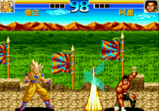Top Fighter 2005