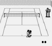 Игра Top Ranking Tennis