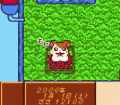 Игра Tottoko Hamtaro - Tomodachi Daisakusen Dechu