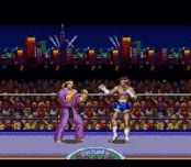 Ultimate Fighter