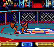 Игра Ultimate Fighting Championship