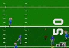 Игра Unnecessary Roughness '95